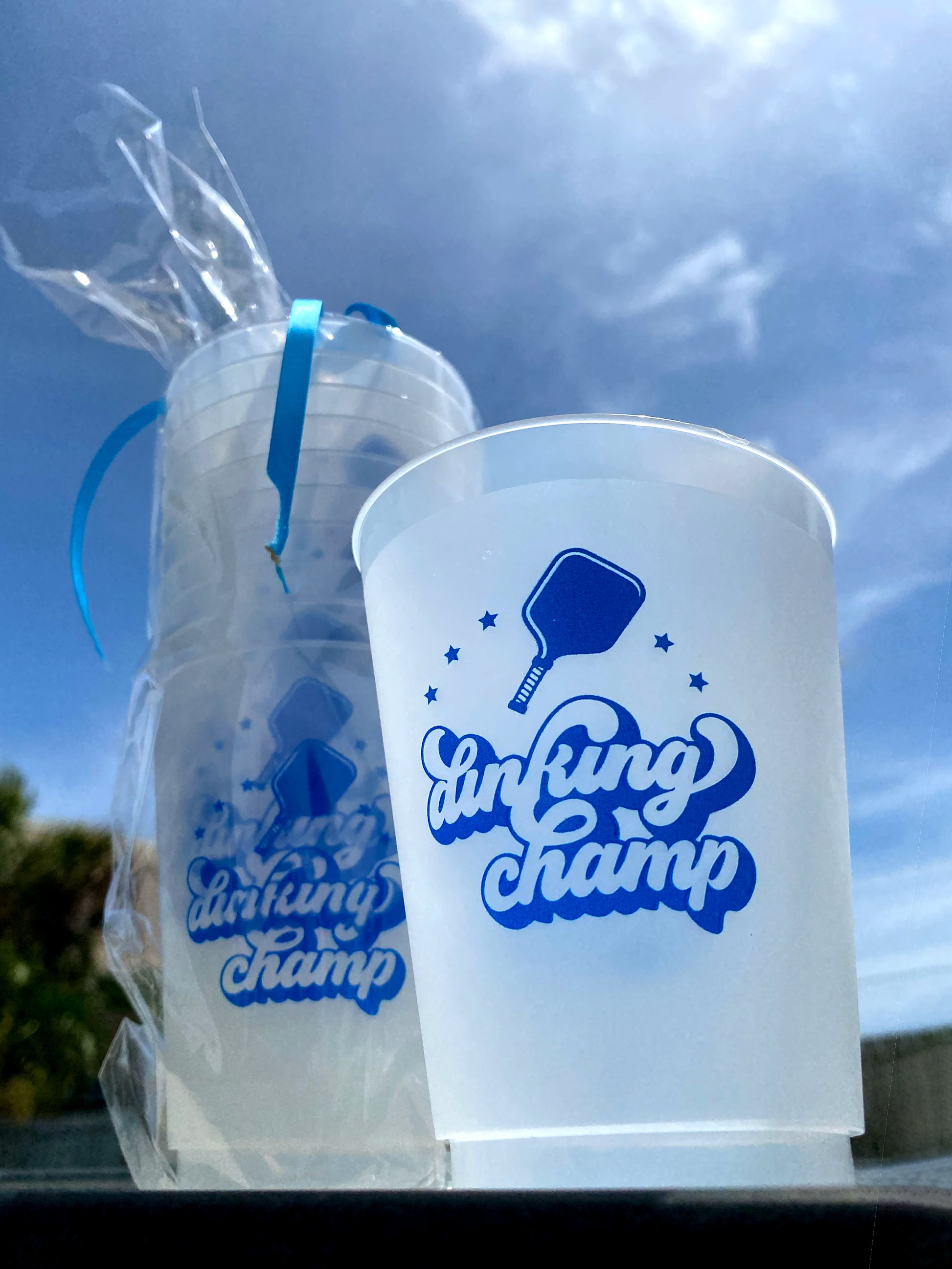 pickleball cup cups pickle ball gift dinks drinks gift gifts dinking champ dinks apres Swinton